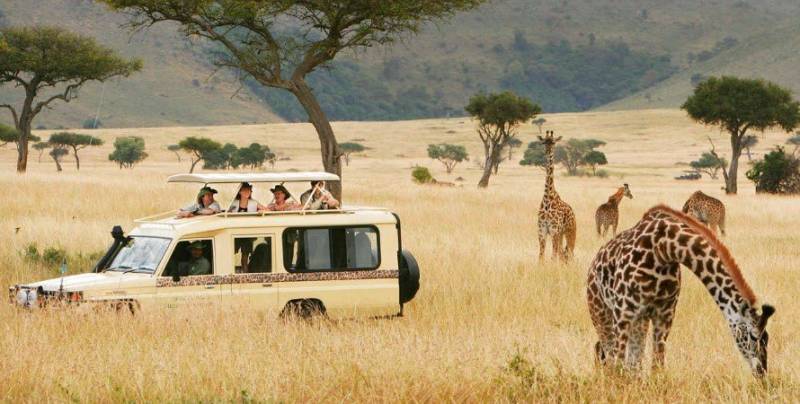 2 Days Tarangire - Lake Manyara Tour