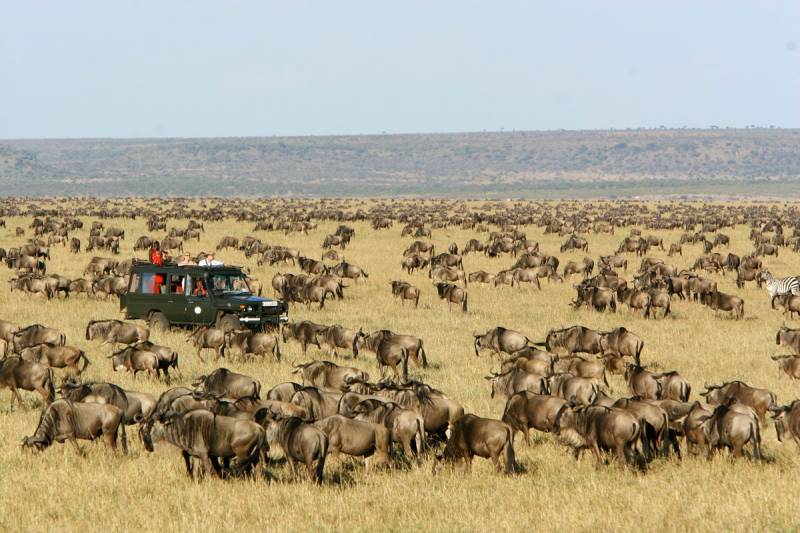 4 Days Masai Mara Safari Tour