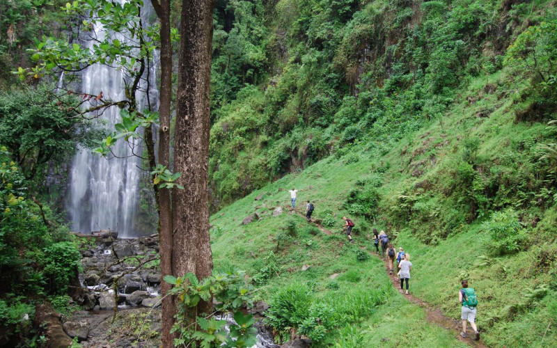 One Day Kikuletwa Village And Cultural Tour