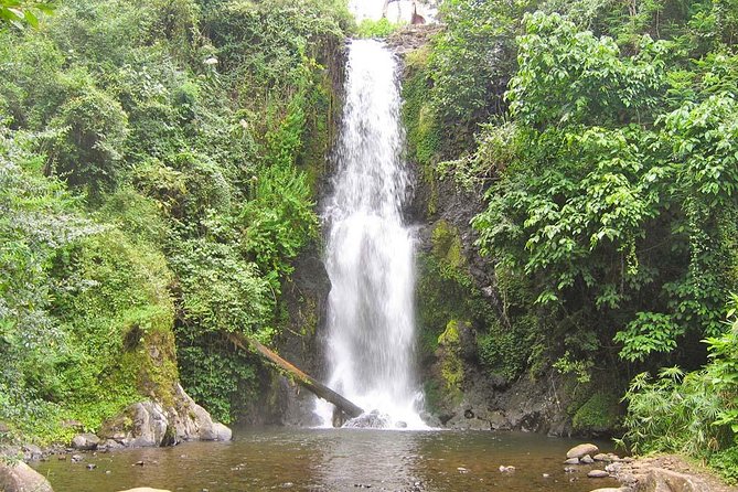 1 Day Marangu Village And Chagga Culture Tour