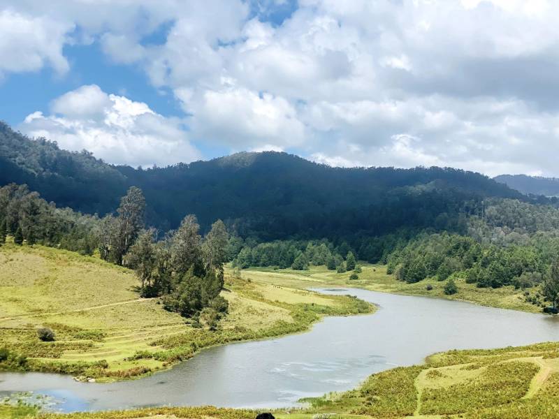 5 Nights 6 Days Grand Southern Round Trip Getaway Bangalore- Mysore- Coorg- Ooty - Isha Foundation