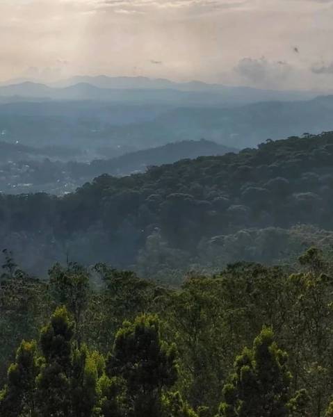 5 Nights 6 Days Grand Southern Round Trip Getaway Bangalore- Mysore- Coorg- Ooty - Isha Foundation