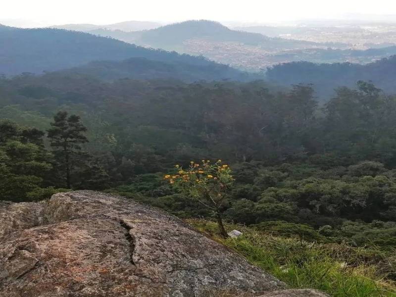 5 Nights 6 Days Grand Southern Round Trip Getaway Bangalore- Mysore- Coorg- Ooty - Isha Foundation