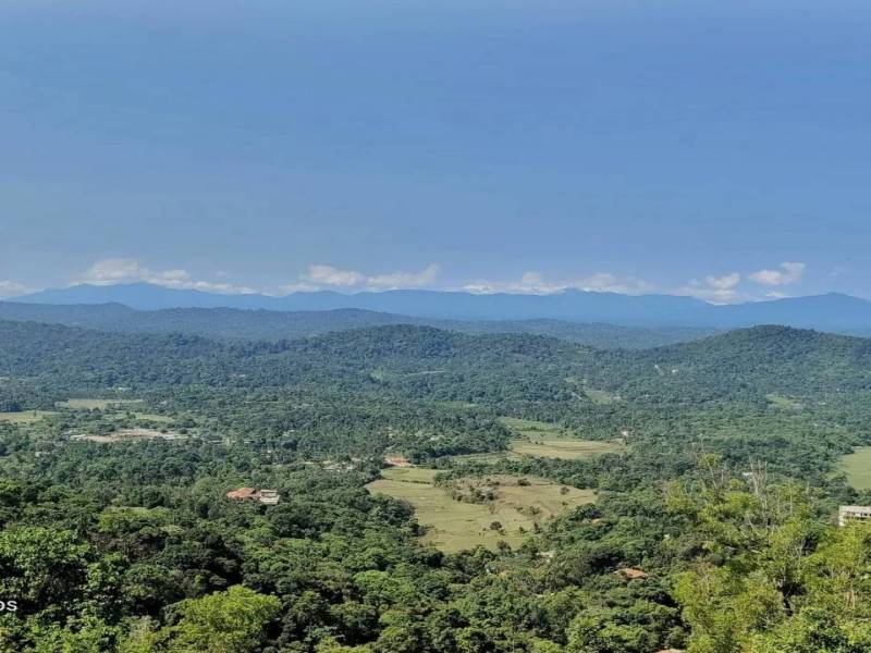 5 Nights 6 Days Grand Southern Round Trip Getaway Bangalore- Mysore- Coorg- Ooty - Isha Foundation