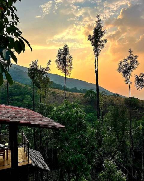 5 Days & 4 Nights Enchanting Mysore, Chikmagalur, and Coorg Getaway from Bangalore