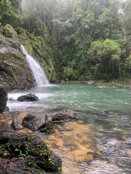 5 Days & 4 Nights Enchanting Mysore, Chikmagalur, and Coorg Getaway from Bangalore