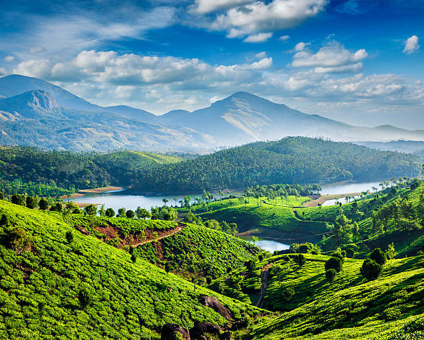 2 Night Munnar Tour