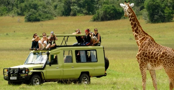 3 Nights 4 Days Tanzania Wildlife Safari with Crownland Tour