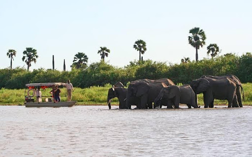 5 Days - 4 Nights Southern Luxury Safari Tour