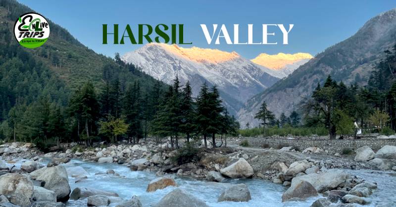 2 Night 3 Day Haridwar To Harsil Valley Tour Package