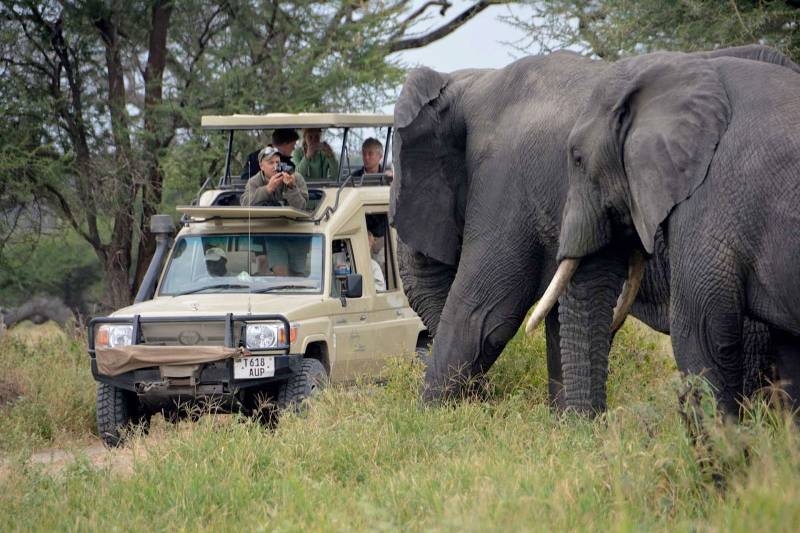 2- Days Wonderful Tanzania Safari