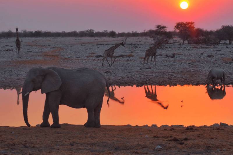 2- Days Wonderful Tanzania Safari