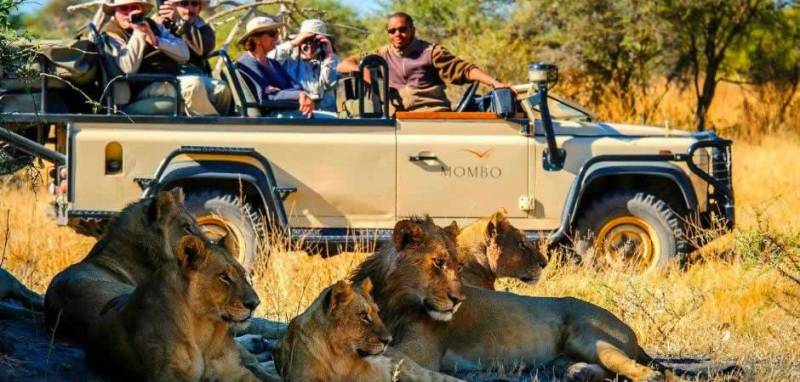 4 Days 3 Nights Masai Mara - Nairobi Migration Safari Package