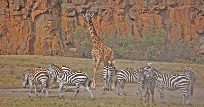 1 Day Tour Hell’s Gate National Park