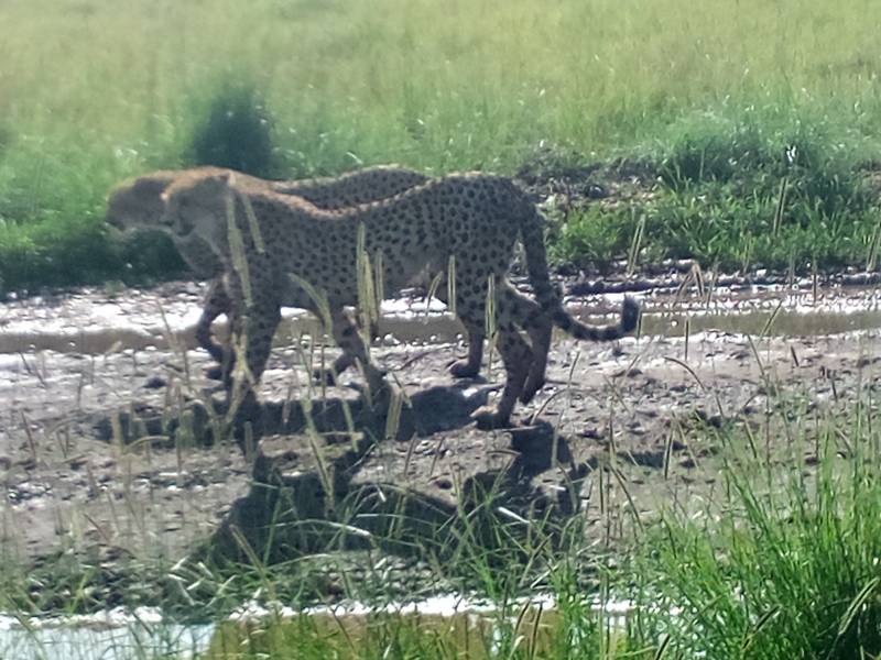 5 nights 6 Days Kenya Trip