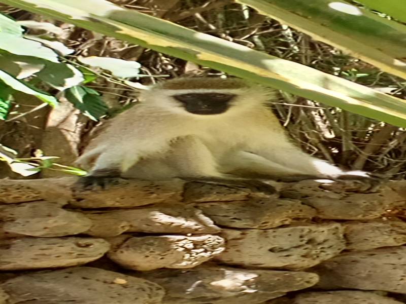 5 nights 6 Days Kenya Trip