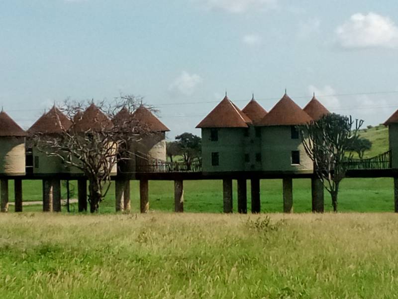 1 Night 2 Day Safari