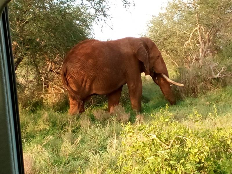 6 night 7 days Tsavo East and Amboseli National Park Tour