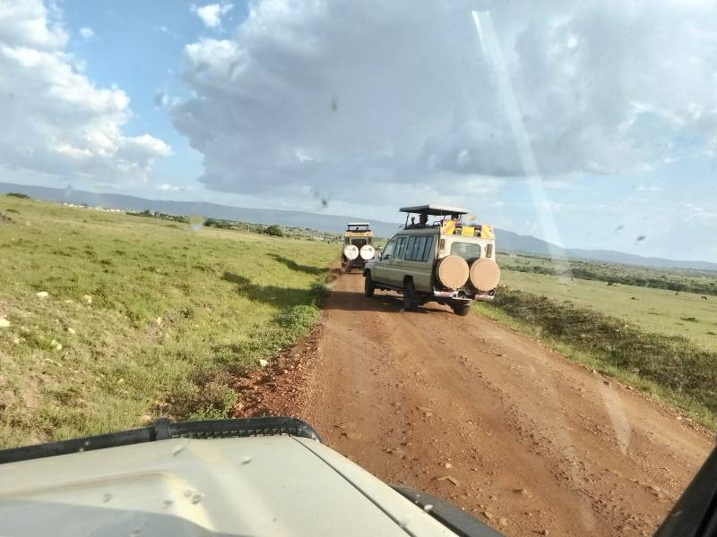 9 nights  10 Days safari