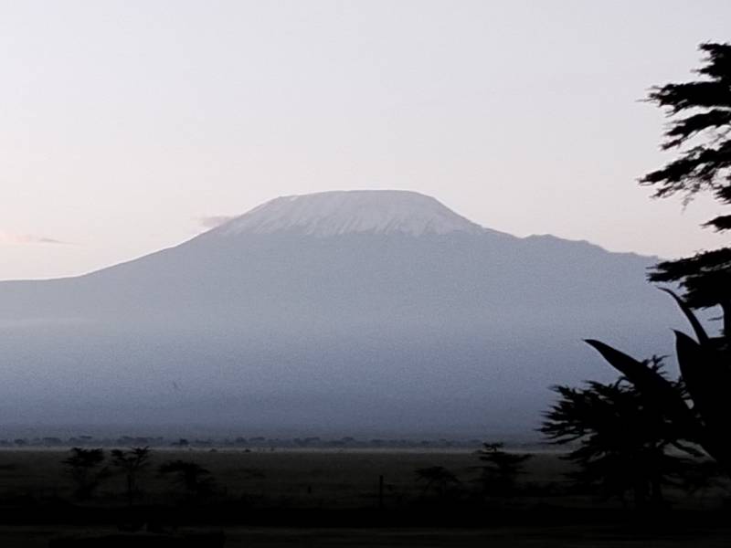 9 nights  10 Days safari