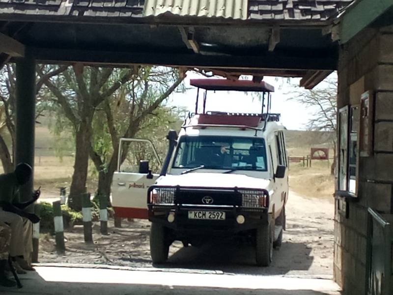 6 night 7 days Tsavo East and Amboseli National Park Tour