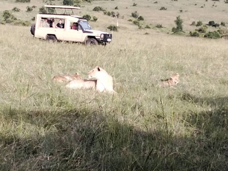 2 nights 3 Days Flight Safari