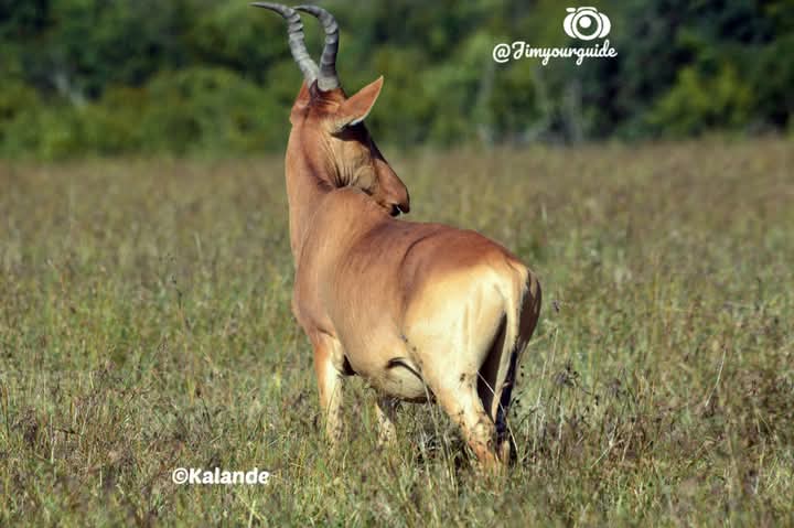 2 nights 3 Days Flight Safari