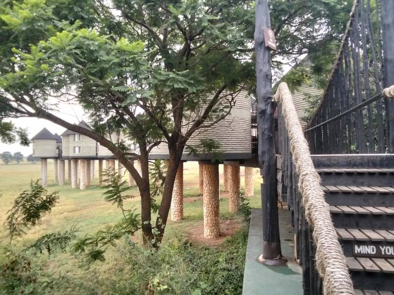 7  Nights 8 Days safari starting from Nairobi