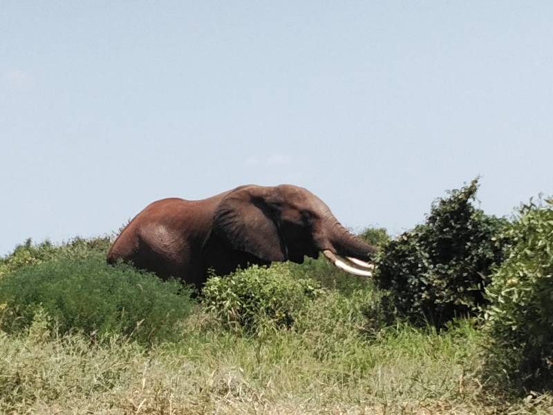7  Nights 8 Days safari starting from Nairobi