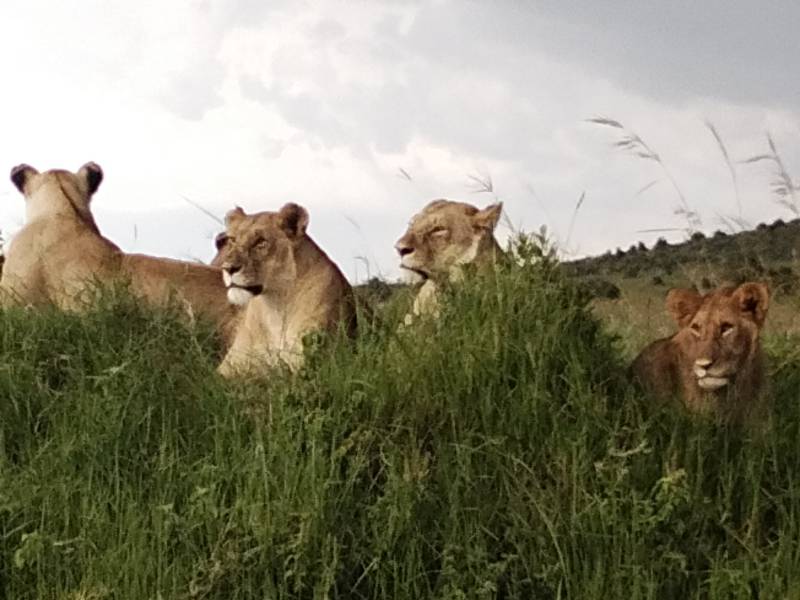 2 Nights 3Days   Safaris starting from Mombasa