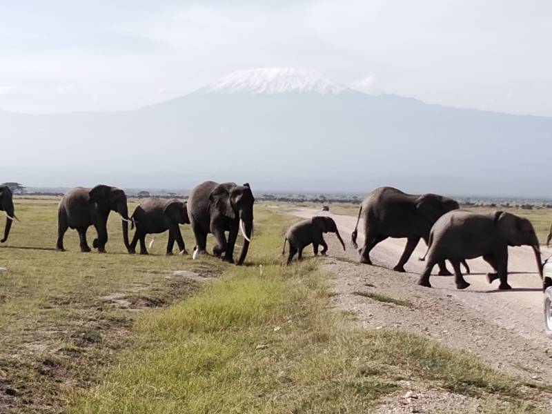 2 Nights 3Days   Safaris starting from Mombasa