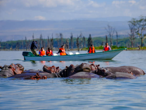 Safari Splendor & Coastal Retreat 9-Day Lake Naivasha, Maasai Mara, Amboseli , Tsavo Diani Beach A