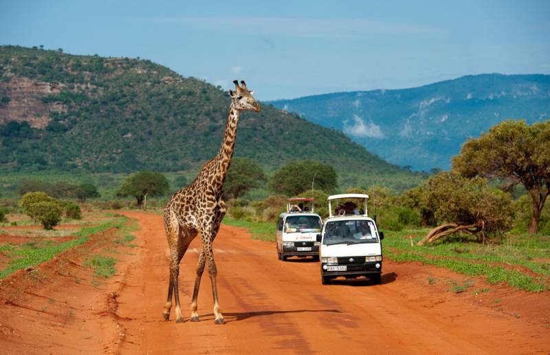 Safari Splendor & Coastal Retreat 9-Day Lake Naivasha, Maasai Mara, Amboseli , Tsavo Diani Beach A