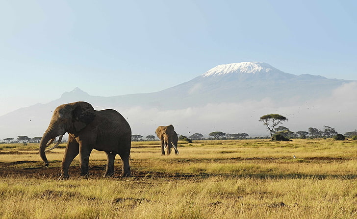 10 Nights, 11 Days Kenya to Uganda Tour Adventure
