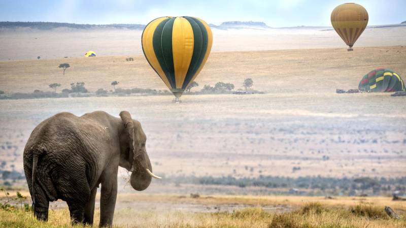 4-Day The Ultimate Tarangire, Ngorongoro & Serengeti