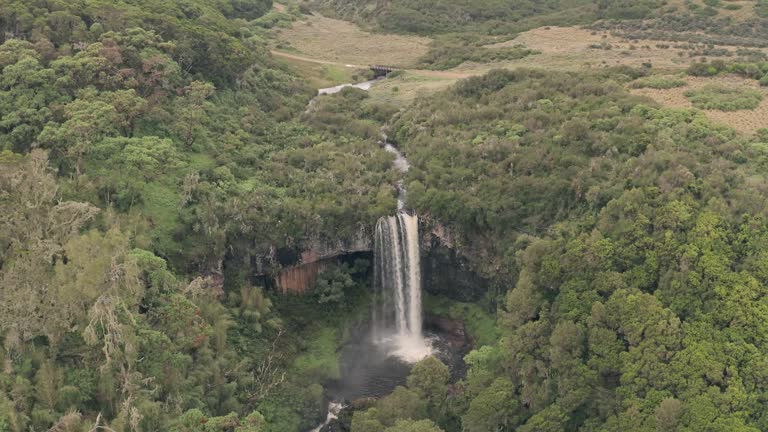 6 Nights, 7 Days Kenya Classic Wilderness Safari From Savannas to Highlands