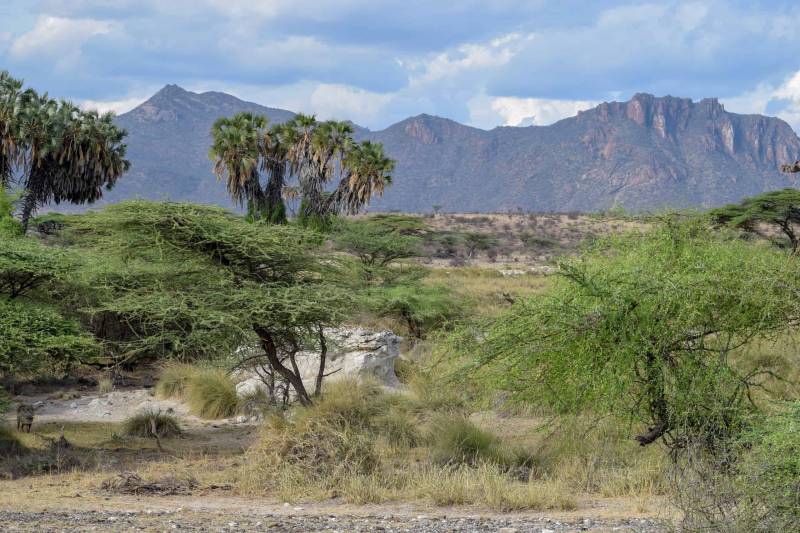 2 Nights, 3 Days,  Northern Kenya Adventure