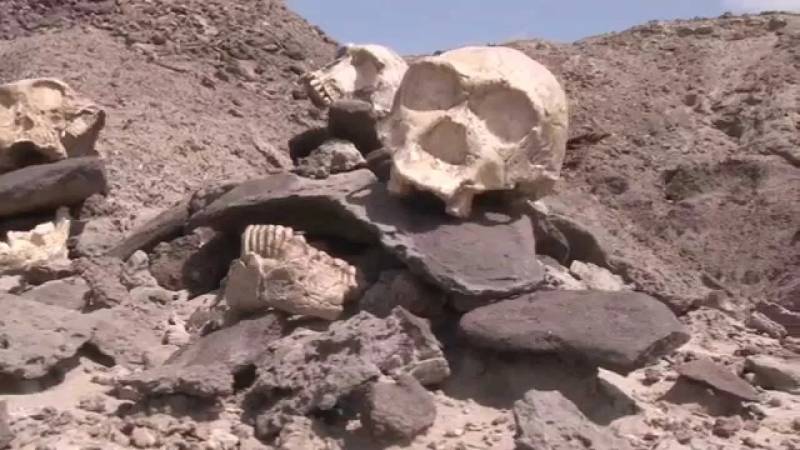 2 Nights, 3 Days,  Northern Kenya Adventure