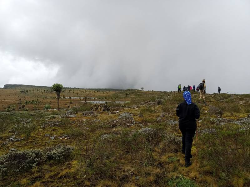 2 Nights, 3 Days Aberdare National Park on Foot