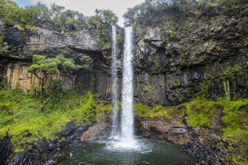 2 Nights, 3 Days Aberdare National Park on Foot