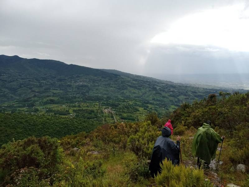 2 Nights, 3 Days Aberdare National Park on Foot