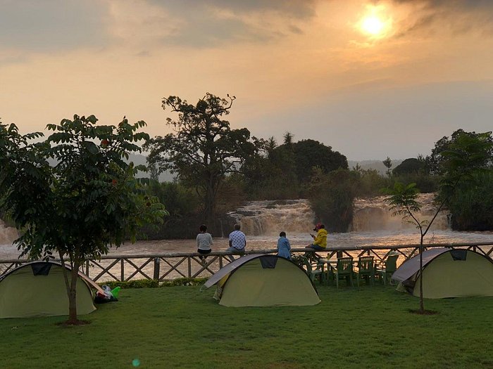 2 Nights, 3 Days Aberdare National Park on Foot