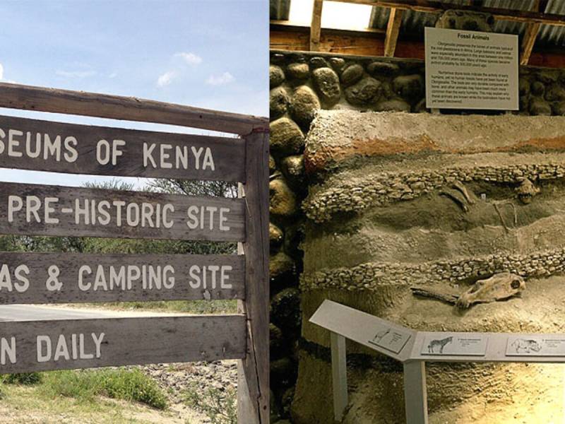 2 Nights, 3 Days Journey to Olorgesailie