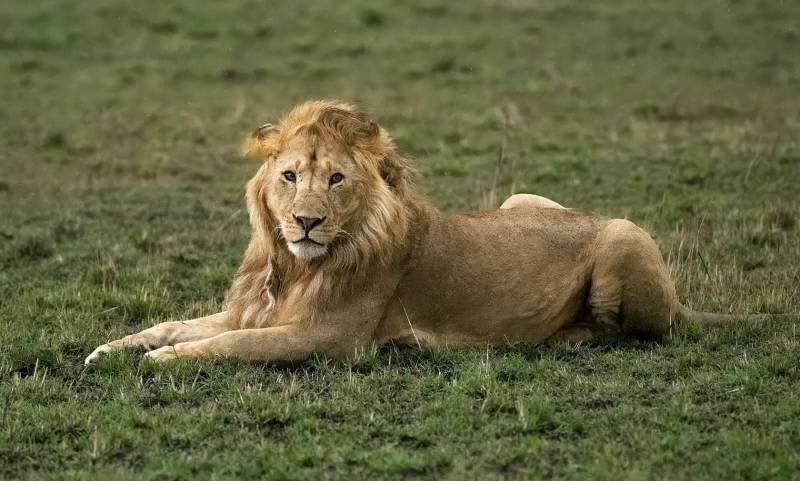 5-Day Exquisite Wilderness Safari