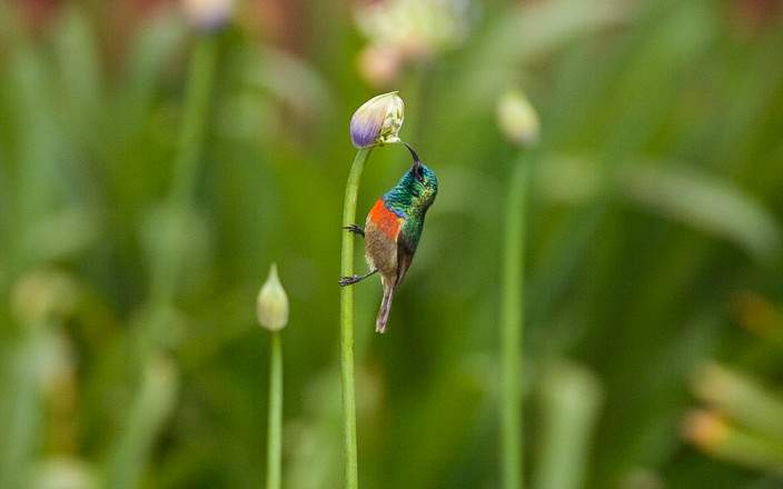 3-Day Wild Wonders in Tanzania