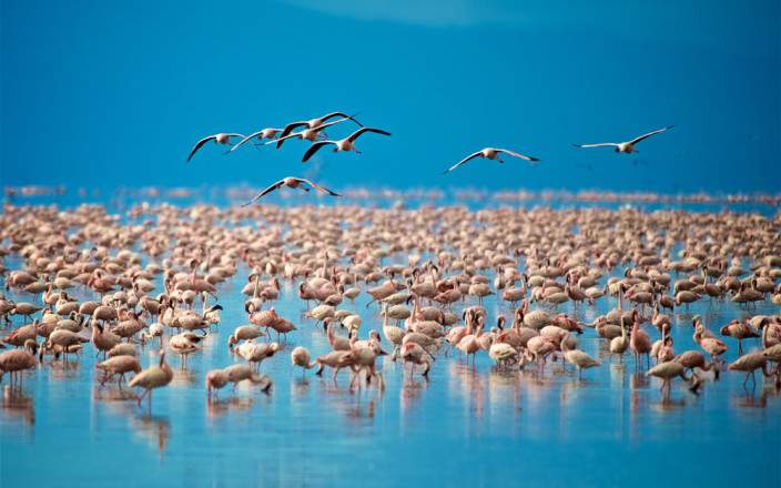 Midrange Safari Tarangire, Manyara & Ngorongoro
