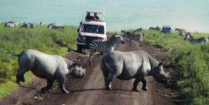 6 Days Tanzania Border To Border Tour