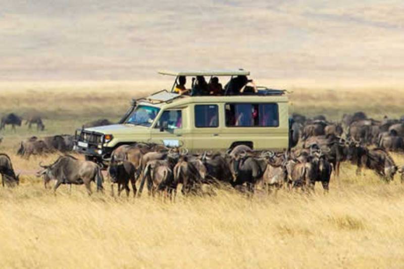 5 Days Ndutu Safari Package