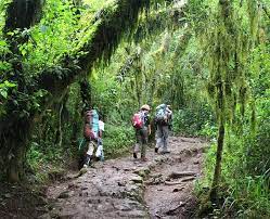 Mount Kilimanjaro Trek 6 Days 5 Nights Via The Machame Route - Itinerary