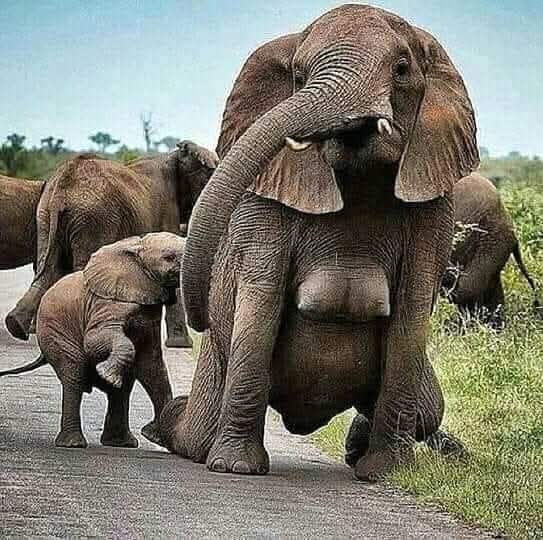 4 Nights 5 Days Tour Package